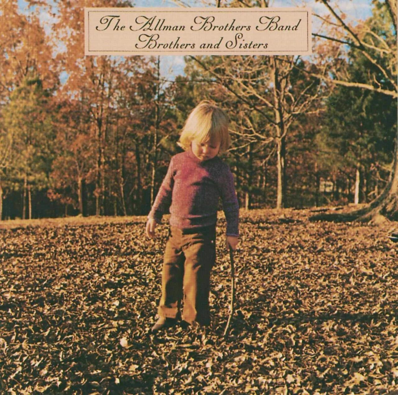 allman-brothers-band-brothers