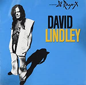 デヴィッド・リンドレー（David Lindley）の名曲名盤10選【代表曲・隠れた名曲】