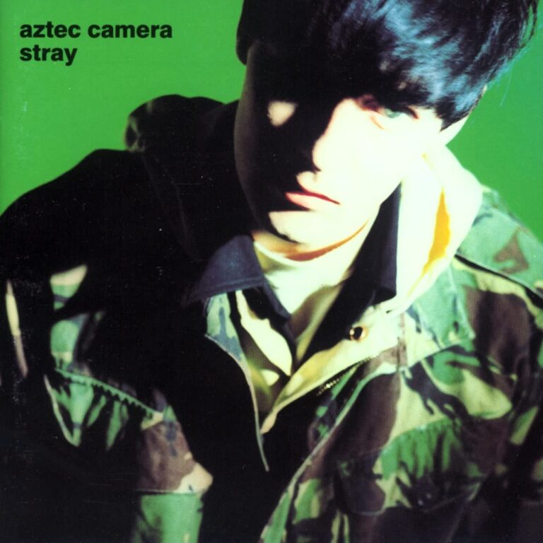 aztec-camera-stray