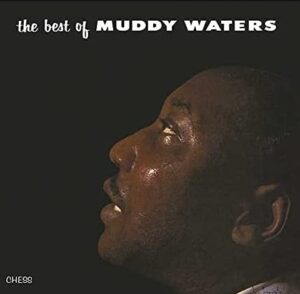 muddy-waters-best