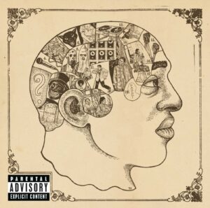 the-roots-phrenology