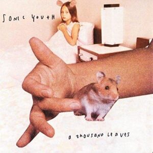 sonic-youth-thousand