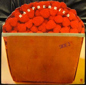 raspberries-side3
