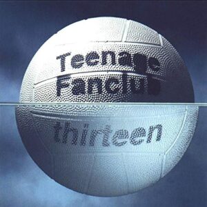 teenage-fanclub-thirteen
